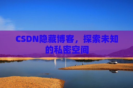 CSDN隐藏博客，探索未知的私密空间